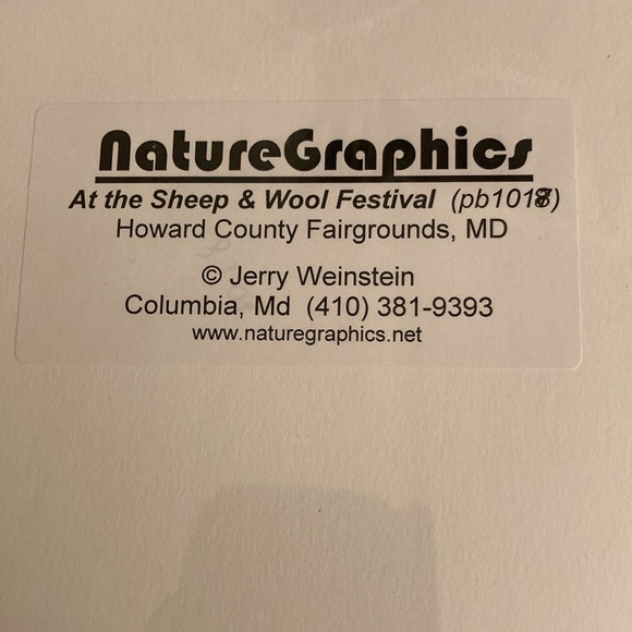 Sheep Photo ; Professionally photographed and matted 11x14 - Picture 3 of 4